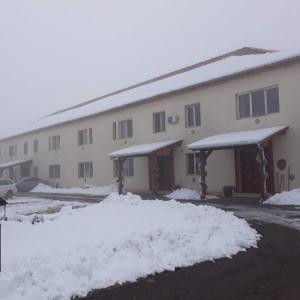 Vila Zoppas Inn Sinnicolau Mare Exterior photo
